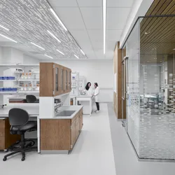 Low-carbon lab renovations start with early collaboration between lab managers and design teams to align safety, performance, and energy goals. 