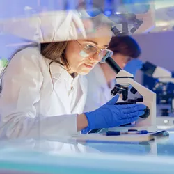 Scientific research environment with a focus on alternative research models