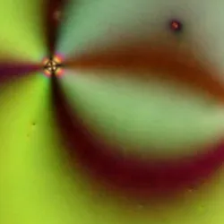 AI defect prediction in liquid crystals shows complex defect structures.