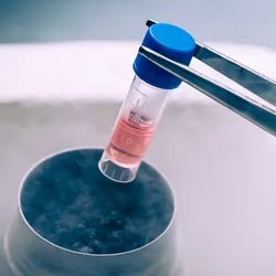 Laboratory scene showing cryogenic storage techniques