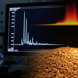 FTIR and NIR analysis of wheat using spectroscopy