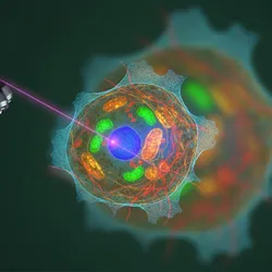 Abstract image of a plant cell under a microscope.