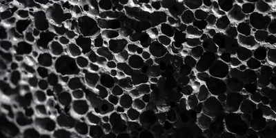 Close-up of biochar structure showcasing its porous architecture