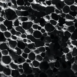 Close-up of biochar structure showcasing its porous architecture
