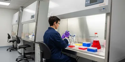 Scientist using a Biological Safety Cabinet in a lab setting