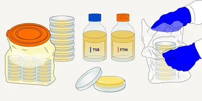 illustration of gloved hands handling lab materials