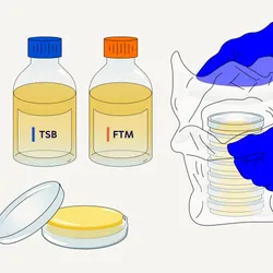 illustration of gloved hands handling lab materials