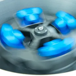 Laboratory centrifuge with swing-bucket rotor in motion processing multi-liter samples for bioprocess scale-up applications