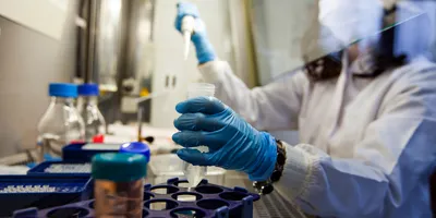 Forensic scientist handling samples in a lab related to drug exposure