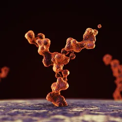 Illustration of intracellular antibodies stabilizing inside cells