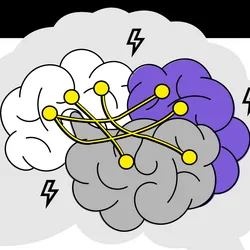 An illustration of a brain