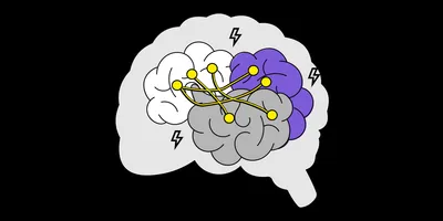 Illustration of a brain
