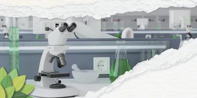 Modern laboratory with sustainable products and equipment.
