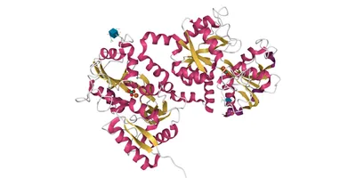 3D model of a protein highlighting AI in protein structure determination