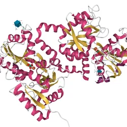 3D model of a protein highlighting AI in protein structure determination