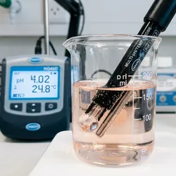 A macro photograph captures the tip of a multi-sensor pH probe immersed in an acidic solution.