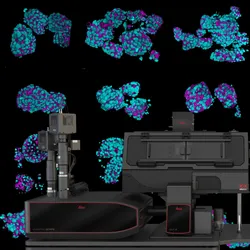 Viventis SCAPE - Single Objective Light Sheet Microscope for fast and gentle volumetric imaging