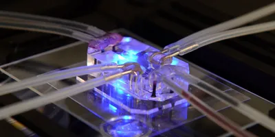 Innovative lab setup for new approach methodologies in research