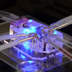 Innovative lab setup for new approach methodologies in research