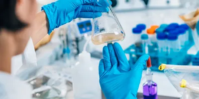 Nitrile gloved hand inspecting a sample in a laboratory environment
