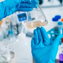 Nitrile gloved hand inspecting a sample in a laboratory environment