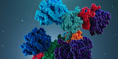 3D representation of antibodies visualized with cryo-EM technology