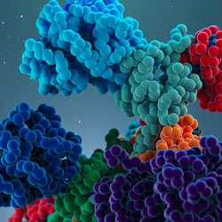 3D representation of antibodies visualized with cryo-EM technology