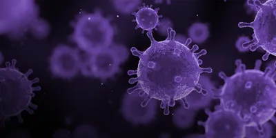 Purple-toned 3D illustration of virus particles floating in a dark background, with spherical shapes and spike-like protrusions resembling microscopic pathogens.