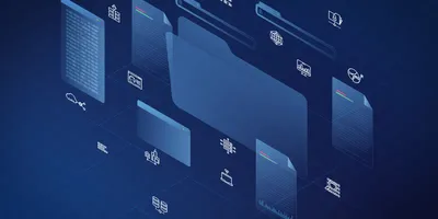 Digital representation of data organization and accessibility