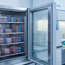 Photorealistic laboratory scene showing a stainless steel CO2 incubator with its door open, revealing shelves of cell culture flasks and multi-well plates inside.