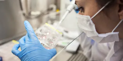 IVD lab staff reviewing samples amidst tariff discussions