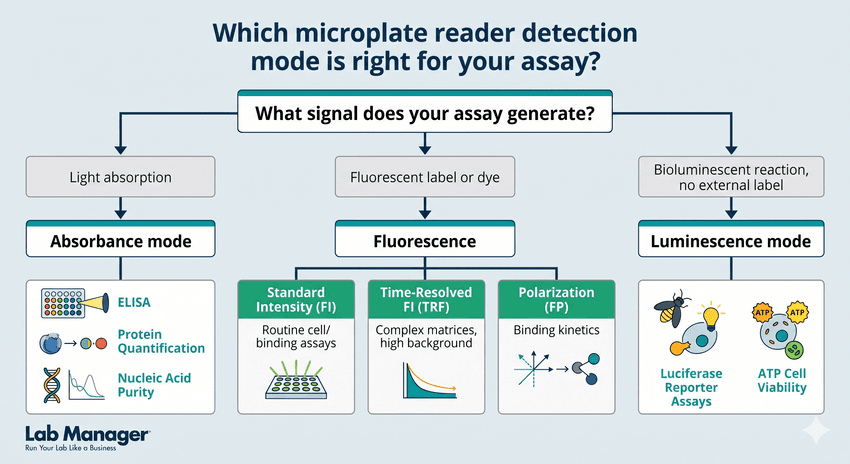 A flowchart infographic by Lab Manager titled "Which microplate reader detection mode is right for your assay?"