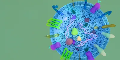 Visual representation of vesicles for extracellular diagnostics in clinical labs.