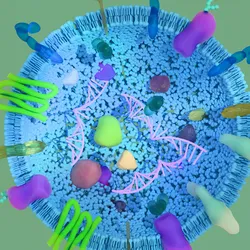 Visual representation of vesicles for extracellular diagnostics in clinical labs.