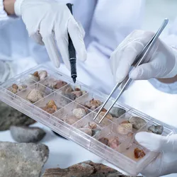 Laboratory staff examining mineral samples for processing technologies