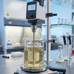 An overhead laboratory stirrer with a digital display showing 55 RPM, using an anchor impeller to gently mix a pale golden cell culture solution inside a glass beaker on a stainless steel workstation in a modern biopharmaceutical laboratory.
