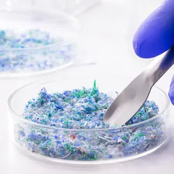 Hand of traces of plastic and microplastic in petri dish, analyzed in laboratory, study of environmental problem