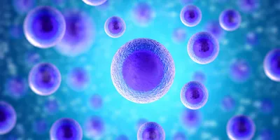 Abstract image of cells.