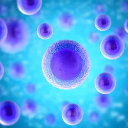 Abstract image of cells.