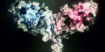 Representation of protein complex predicted by Protein-Folding AI