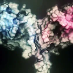 Representation of protein complex predicted by Protein-Folding AI
