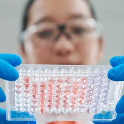 Close-up of a researcher holding a testing plate for chemical assessments.