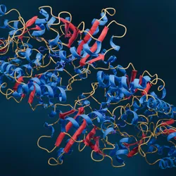 Illustration of enzyme structure