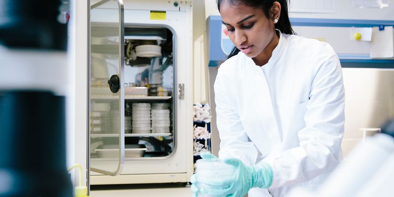 Optimizing Lead Optimization Workflows with Physiological Assays | Lab ...