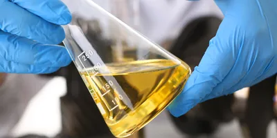 Male hands in protective gloves hold test tube in hands produces chemistry test of motor oil automatic gearbox and hydraulic booster