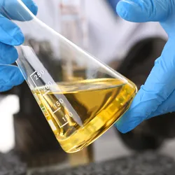 Male hands in protective gloves hold test tube in hands produces chemistry test of motor oil automatic gearbox and hydraulic booster