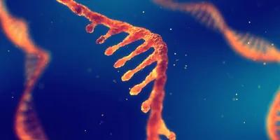 Illustration of RNA strand on blue background