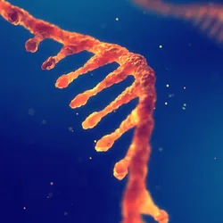 Illustration of RNA strand on blue background