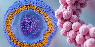 3D scientific graphic showing a cross-section of a blue and orange lipid nanoparticle containing pink particles next to a pink helical structure