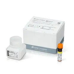 LABScreen Single Antigen HLA Class II ExPlex – Group 2